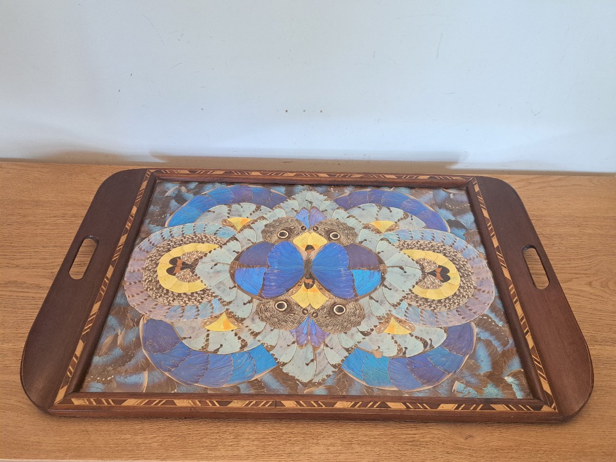 Large Serving Platter, Butterfly Wings, Brazil, 20th Century. 