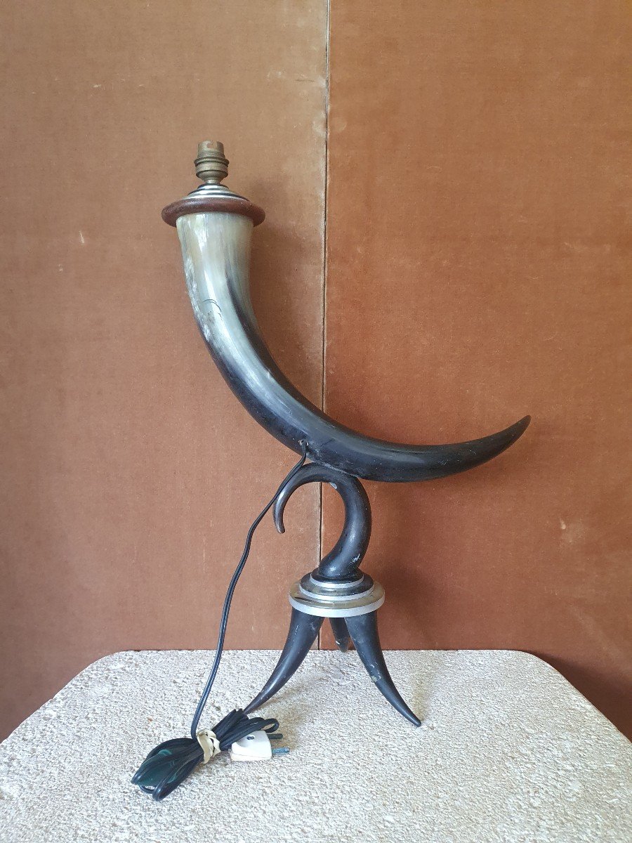 Lamp, Buffalo Horn, Rosewood, Year 40/50.-photo-3