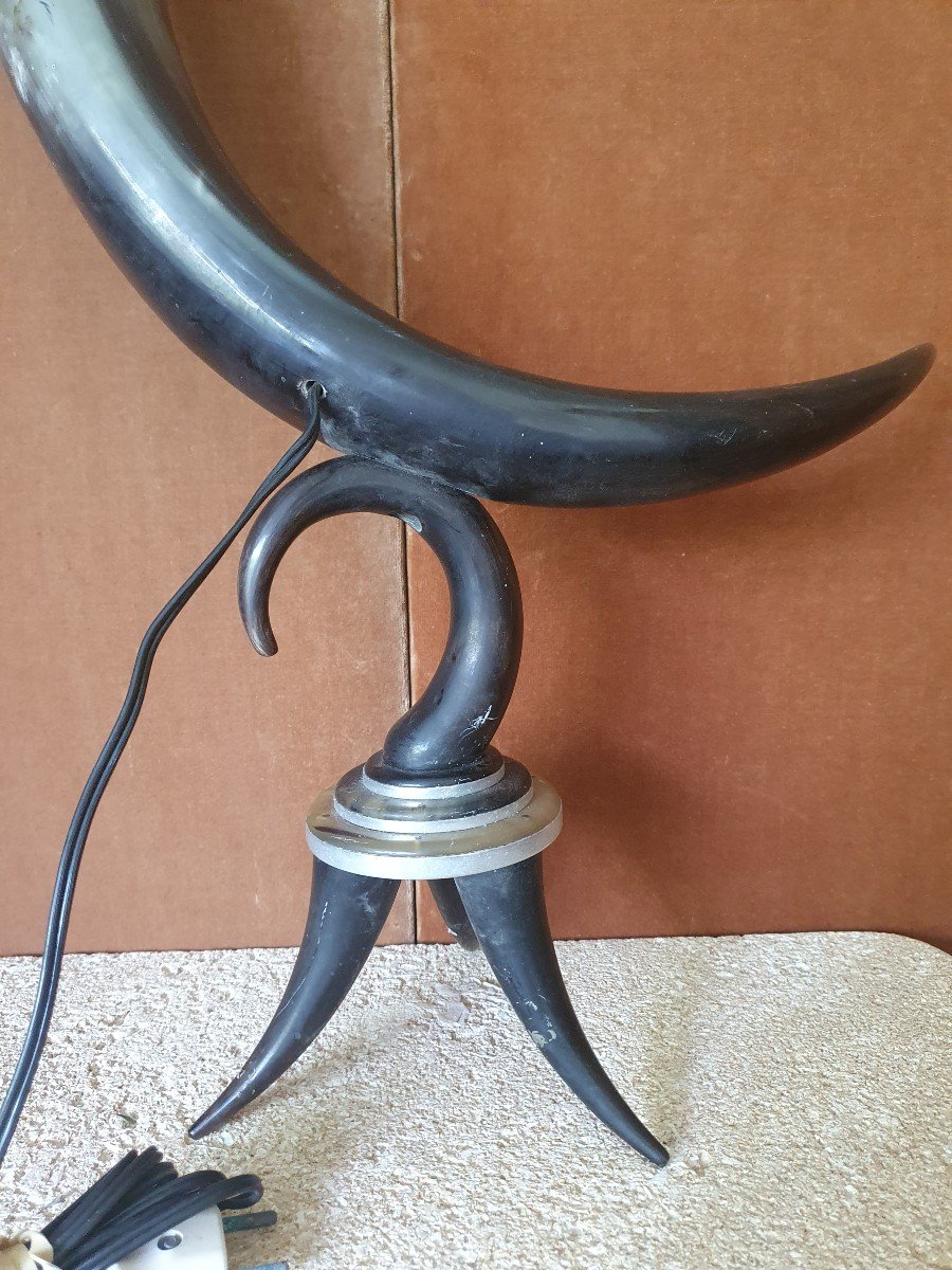 Lamp, Buffalo Horn, Rosewood, Year 40/50.-photo-4