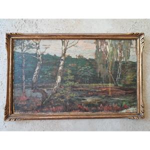 Marais et bouleaux , Huile sur papier , Signé , XX°. 