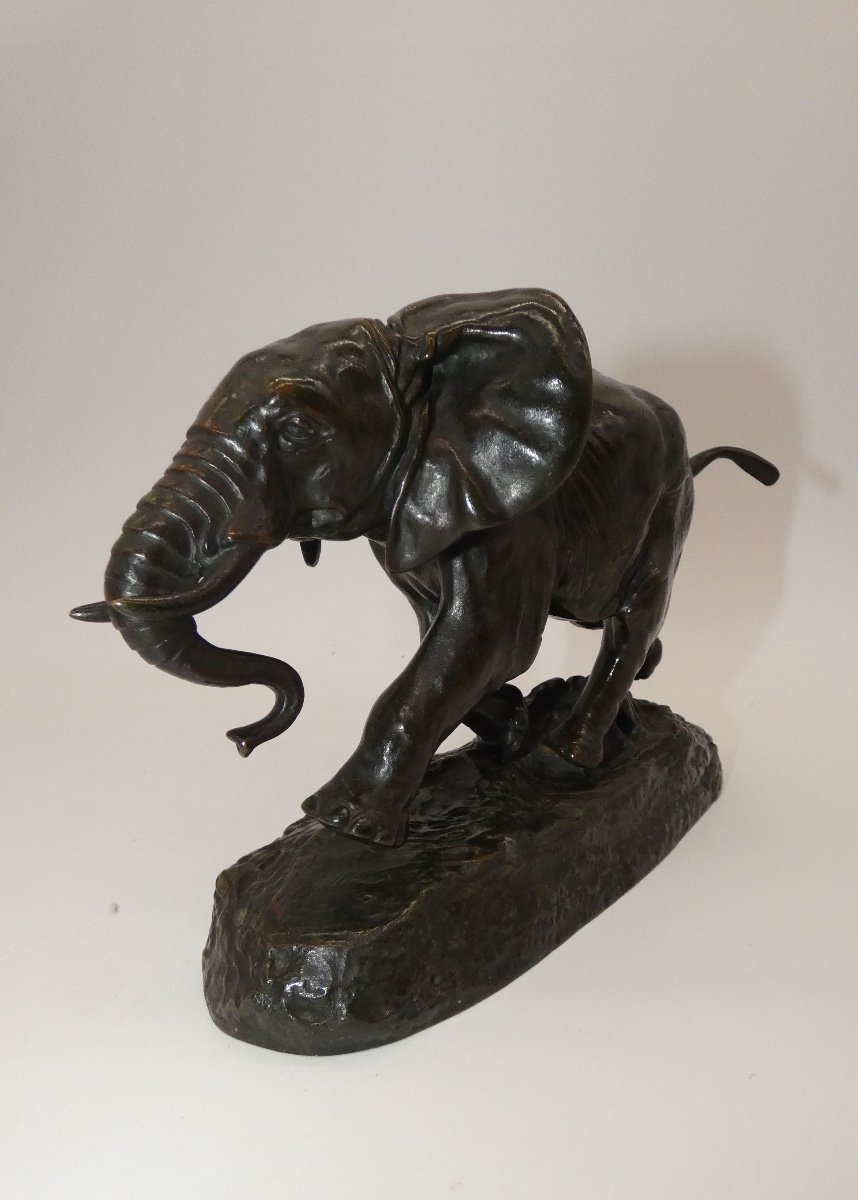 Bronze Elephant Barye F. Barbedienne-photo-4