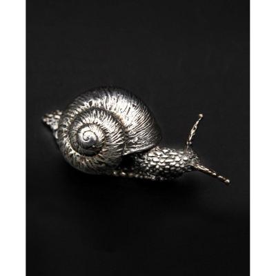 Small Snail In Sterling Silver