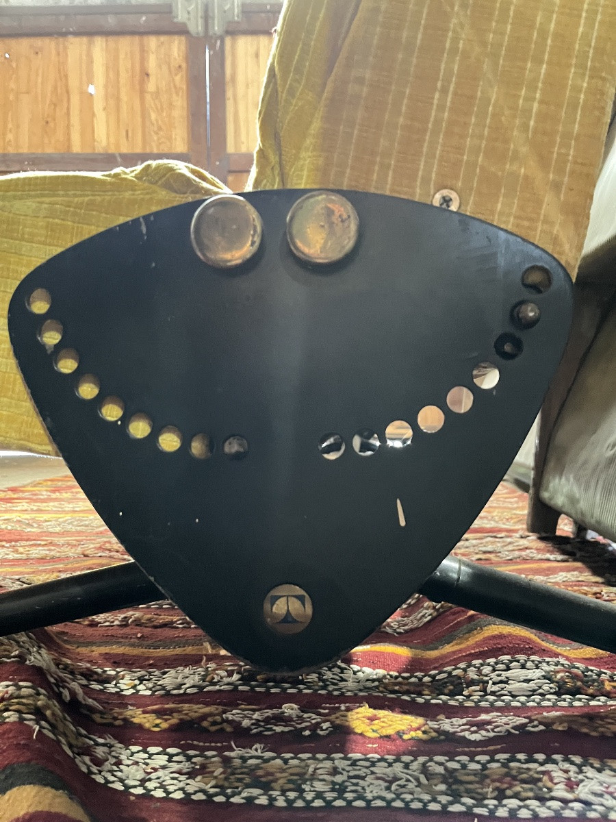 Osvaldo Borsani D70 Sofa, Tecno Edition, 1950s-photo-3