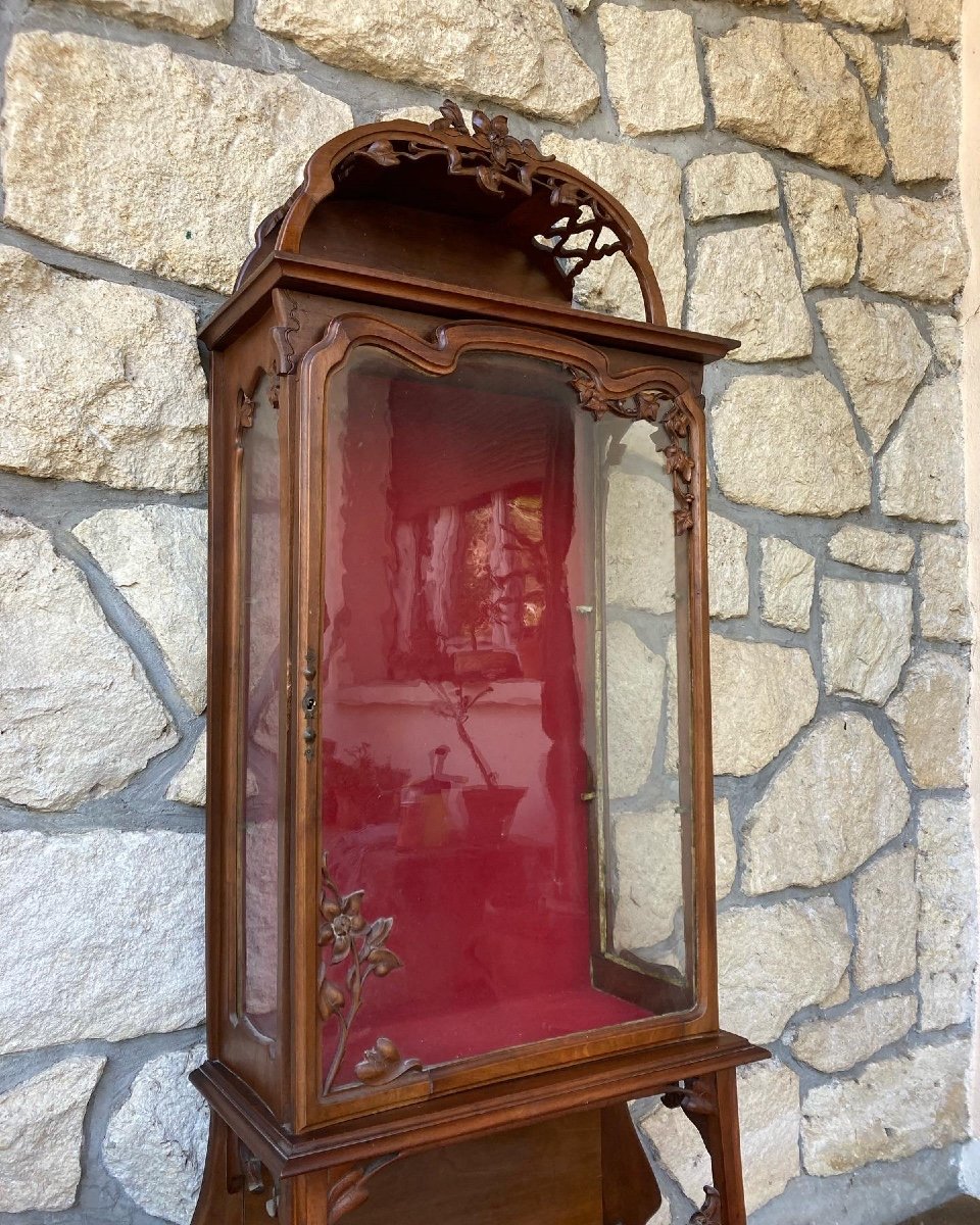 Vitrine Art Nouveau 1900-photo-4