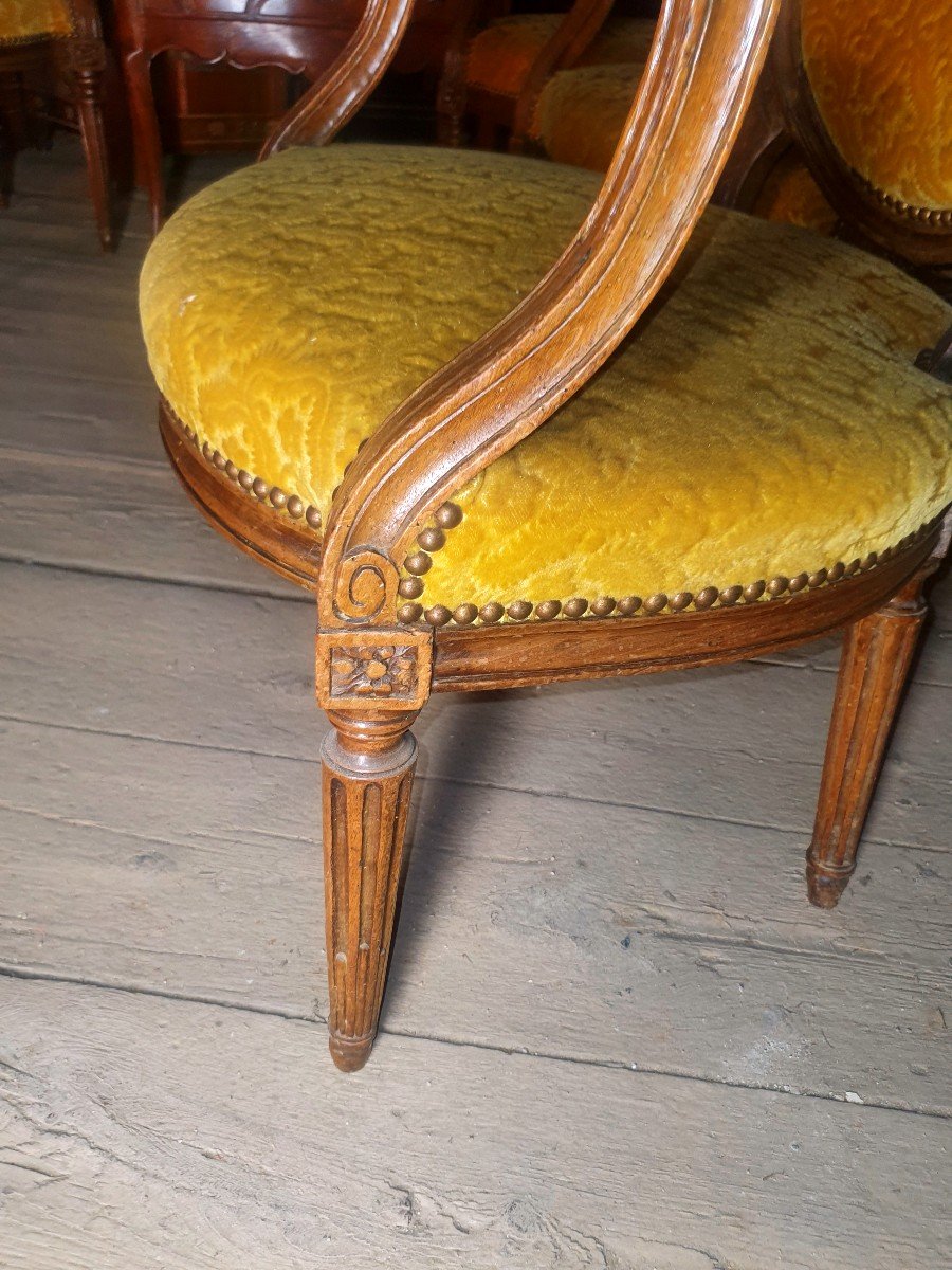 Série 5 Fauteuils XVIII Siècle Louis XVI, Noyer.-photo-3