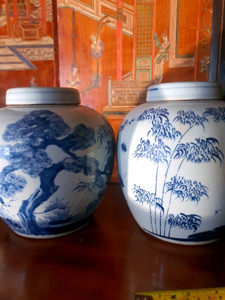 Pair Of Chinese Ming Style Covered Vases.-photo-3
