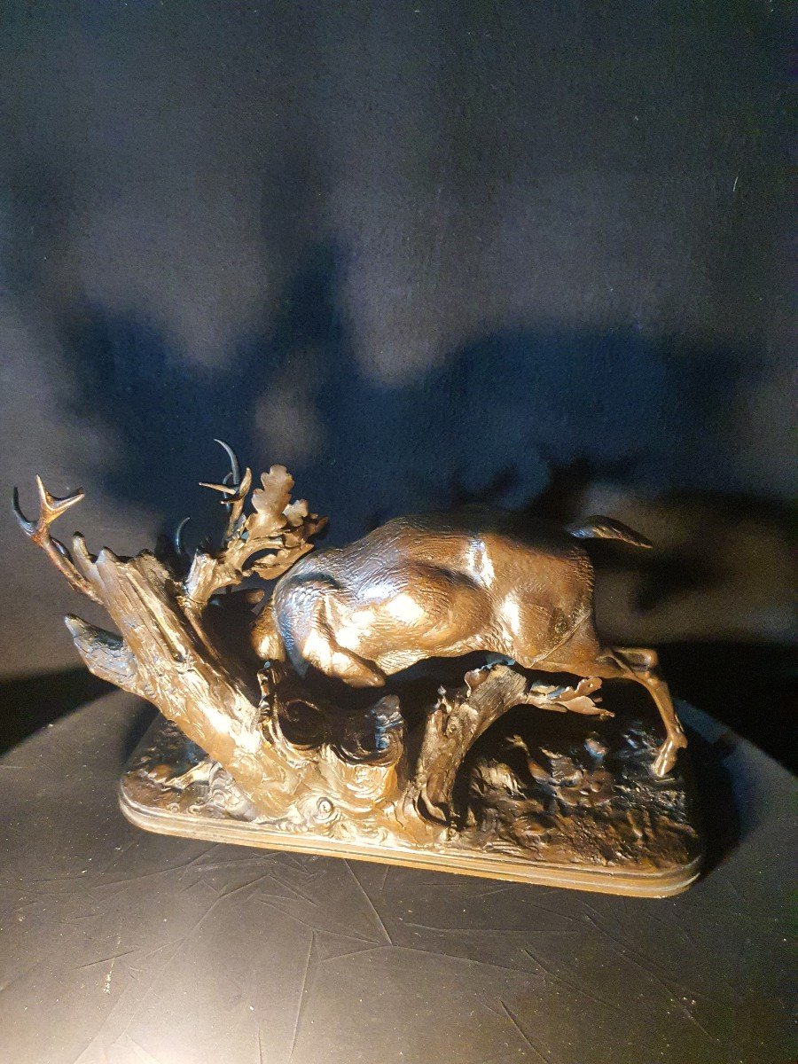 Bronze Animal Sculpture Deer By Alfred Jacquemart.-photo-4