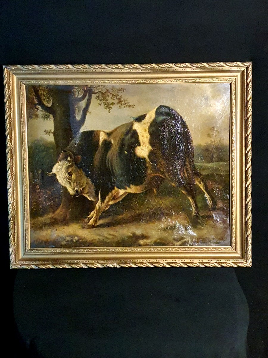 Bull Painting After Brascassat