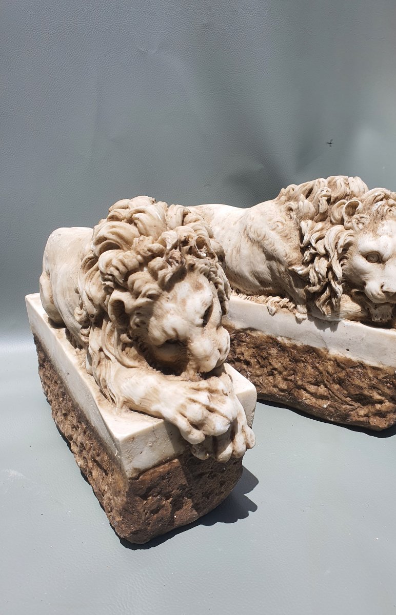 Paire de lions marbre.-photo-4