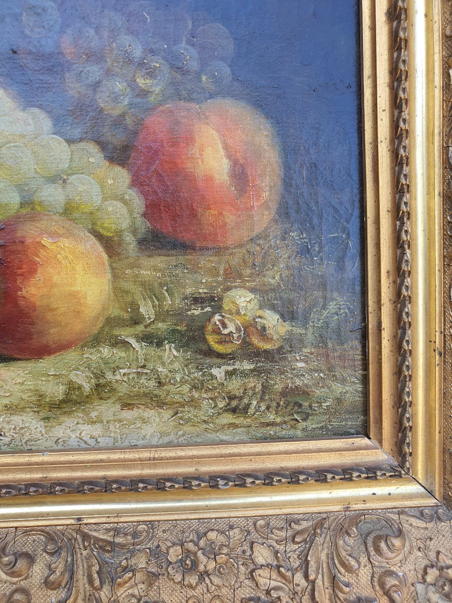 Tableau nature morte aux raisins  XIX siècle. -photo-2