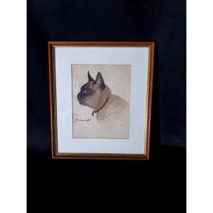 Tableau chat siamois Nicolas Safranoff.