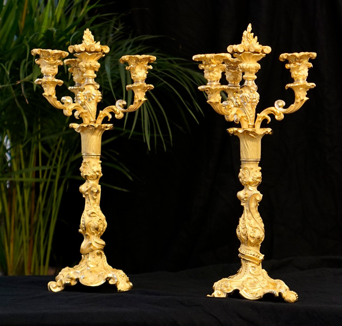 Paire de grands Bougeoirs style Louis XV