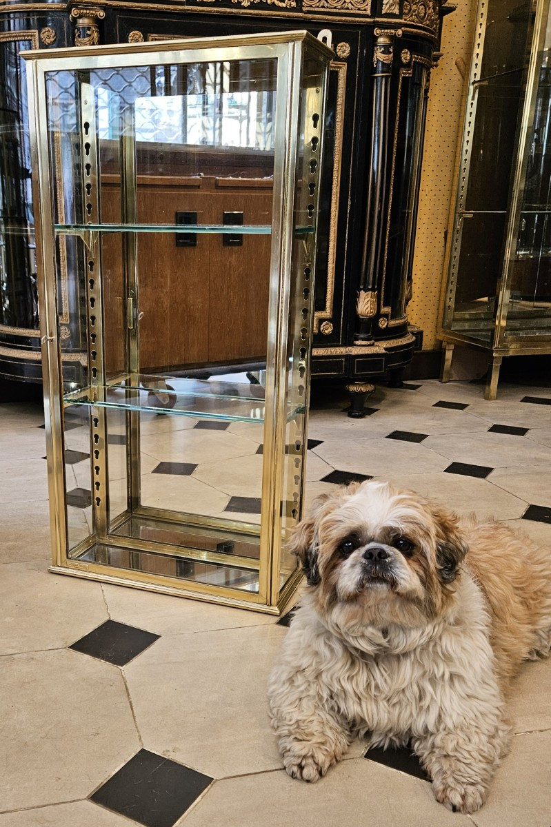 Siegel Brass Wall Display Case                                                         