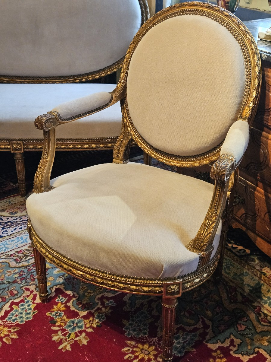 Salon en bois sculpté et doré de style Louis XVI d’époque Napoléon III.-photo-1