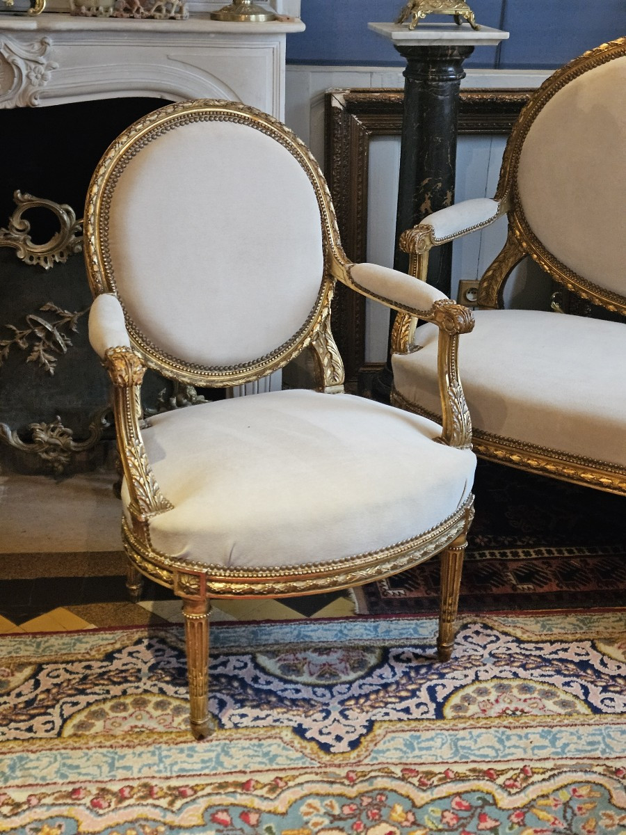 Salon en bois sculpté et doré de style Louis XVI d’époque Napoléon III.-photo-2