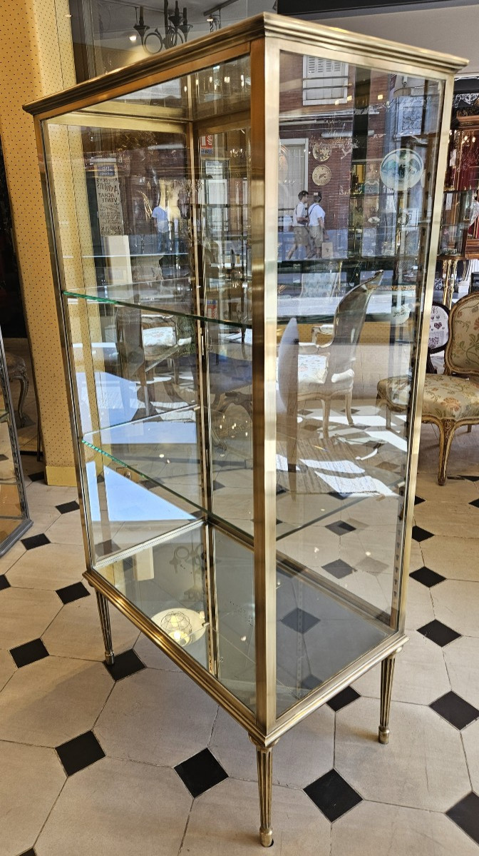 Elegant Brass And Bronze Display Case Circa 1900.-photo-3