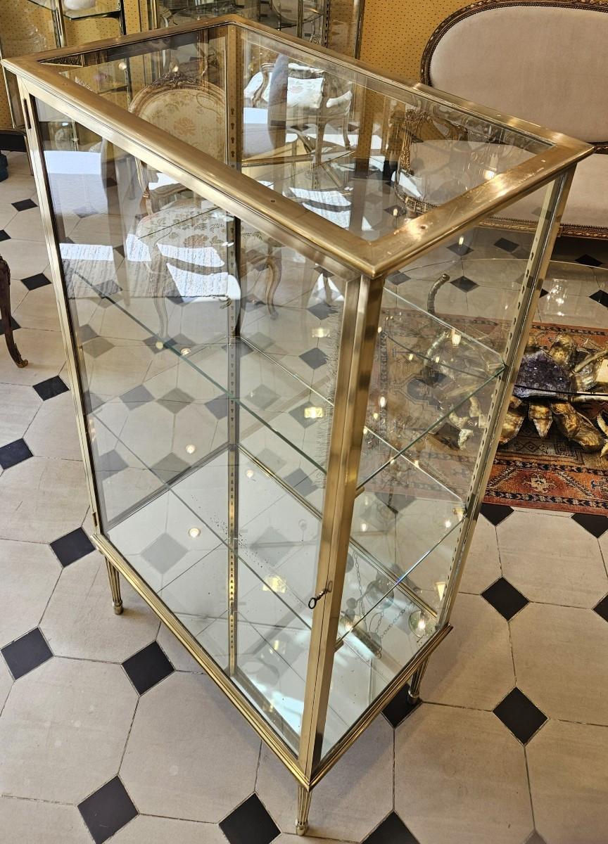 Elegant Brass And Bronze Display Case Circa 1900.-photo-2