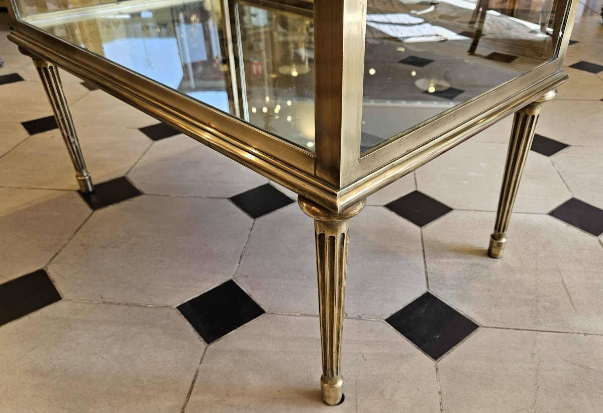 Elegant Brass And Bronze Display Case Circa 1900.-photo-5
