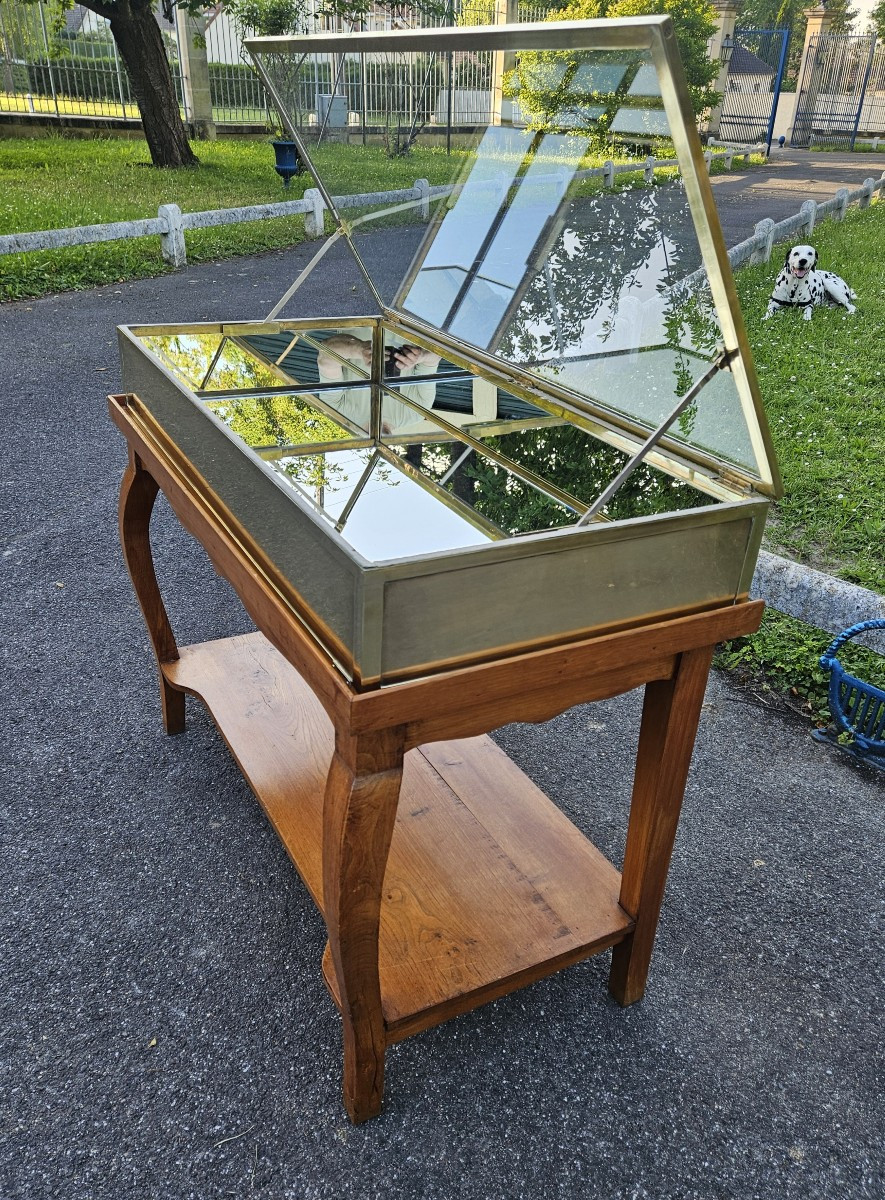 Siégel : Vitrine plate en laiton sur table.-photo-3