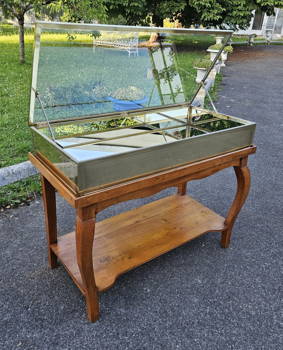 Siégel : Vitrine plate en laiton sur table.