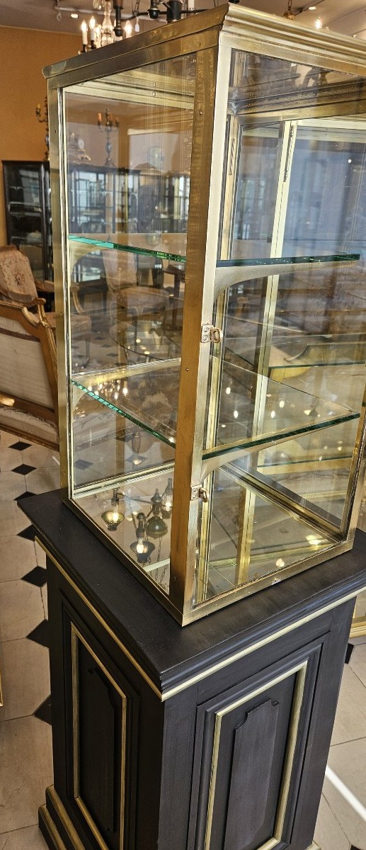 Freestanding Brass  Display Case On A Painted Wooden Base – Early 19th Century.-photo-1