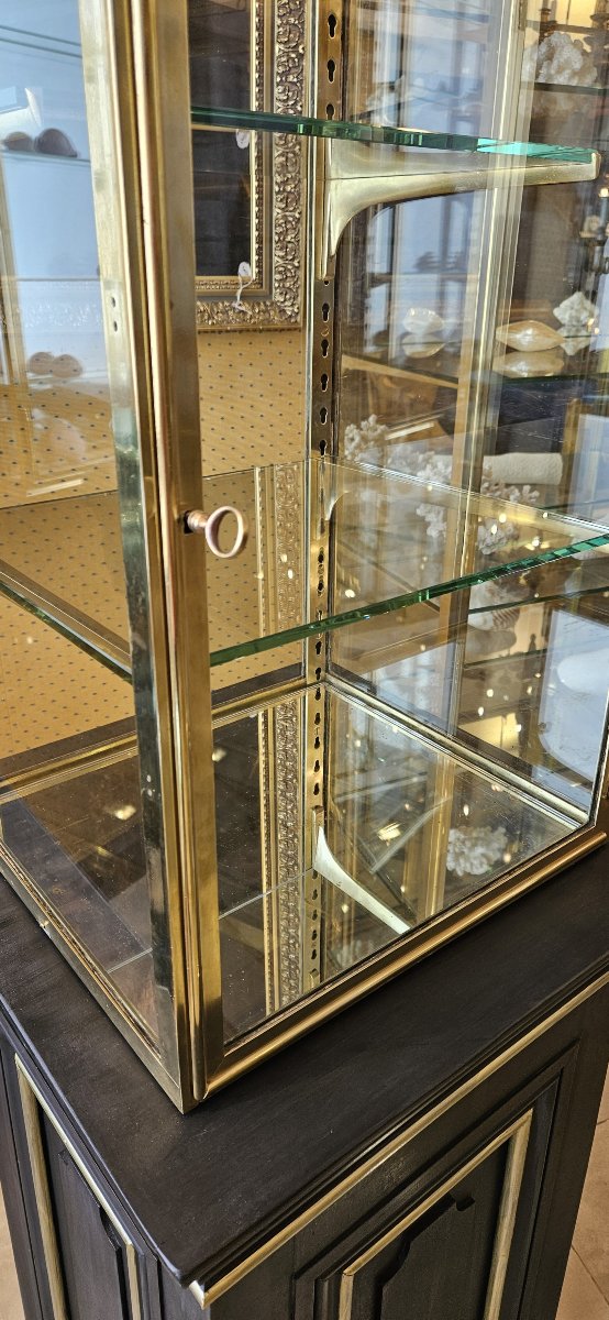 Freestanding Brass  Display Case On A Painted Wooden Base – Early 19th Century.-photo-4