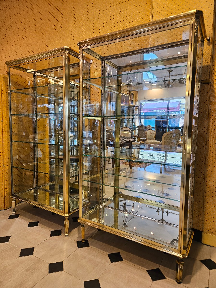 Paire de vitrines en laiton et bronze du début du XX° Siècle. Maison Muller -Domange.