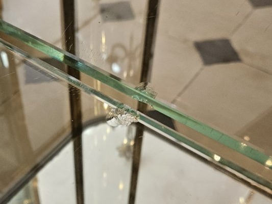 Early 20th-century Storefront Display Cabinet With Curved Sides Made Of Polished Steel.-photo-8