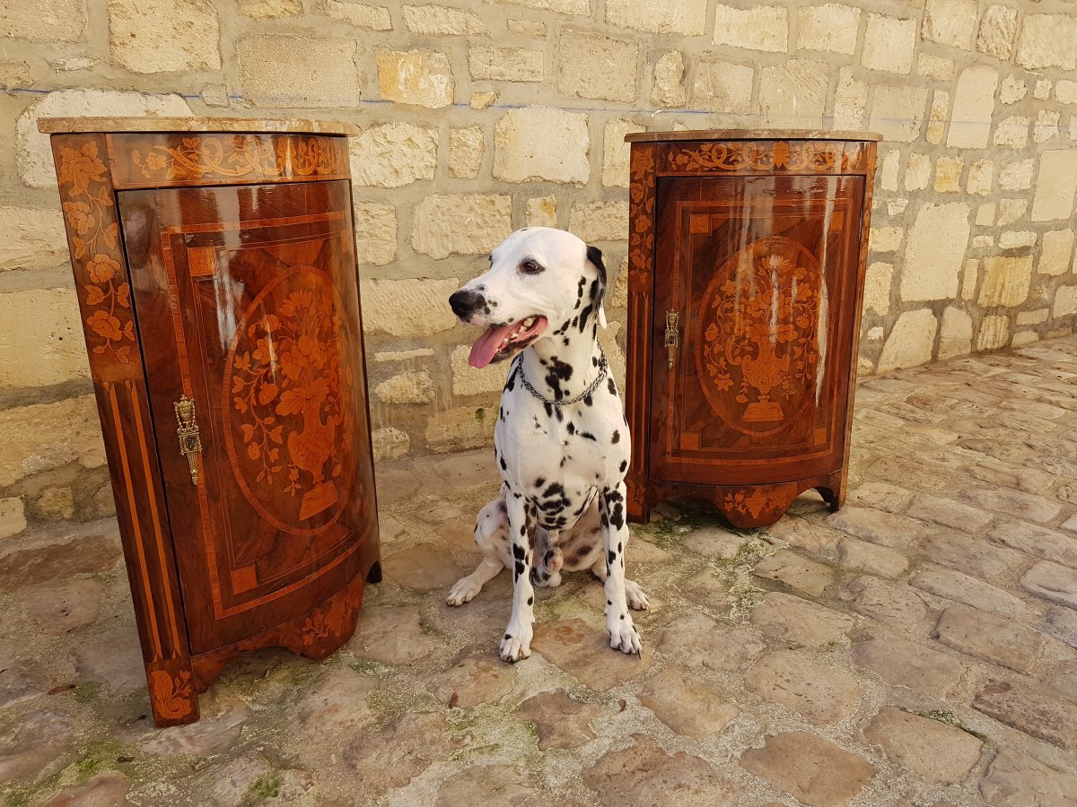 Pair Of "demi-lune" Corner In Neoclassical Style Marquetry.-photo-2