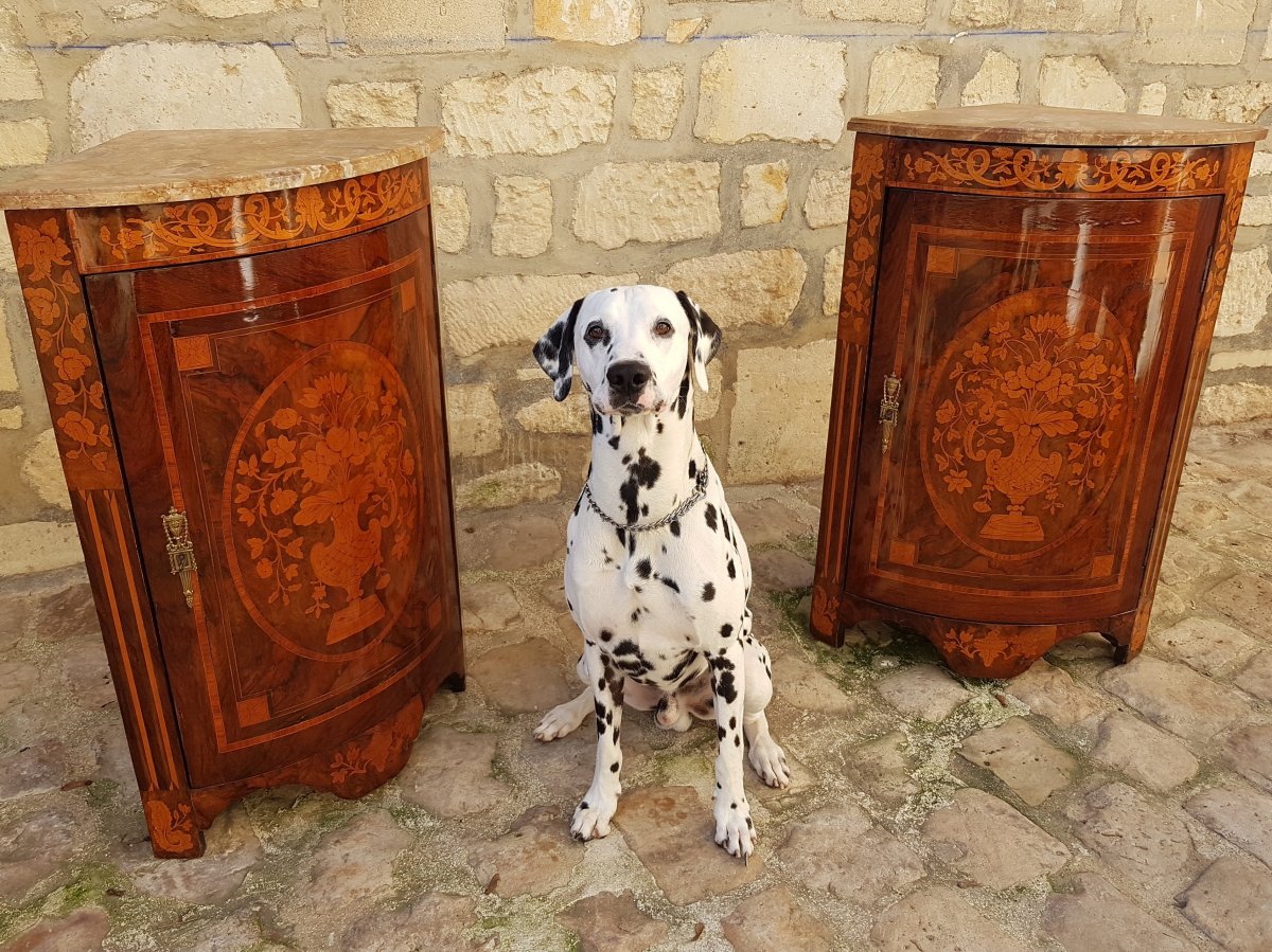 Pair Of "demi-lune" Corner In Neoclassical Style Marquetry.