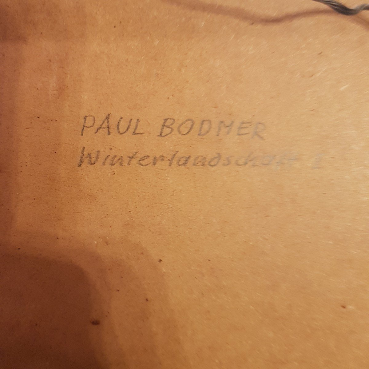Paul Bodmer: Winter Landscape.-photo-1