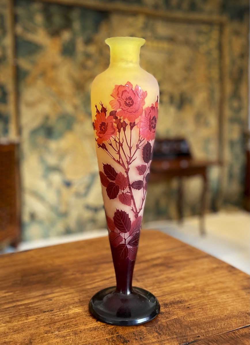 Large Vase By Emile Gallé With Eglantines