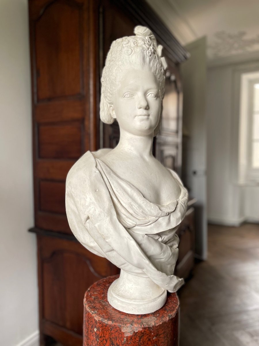 Plaster Bust Of Madame Adelaide-photo-2