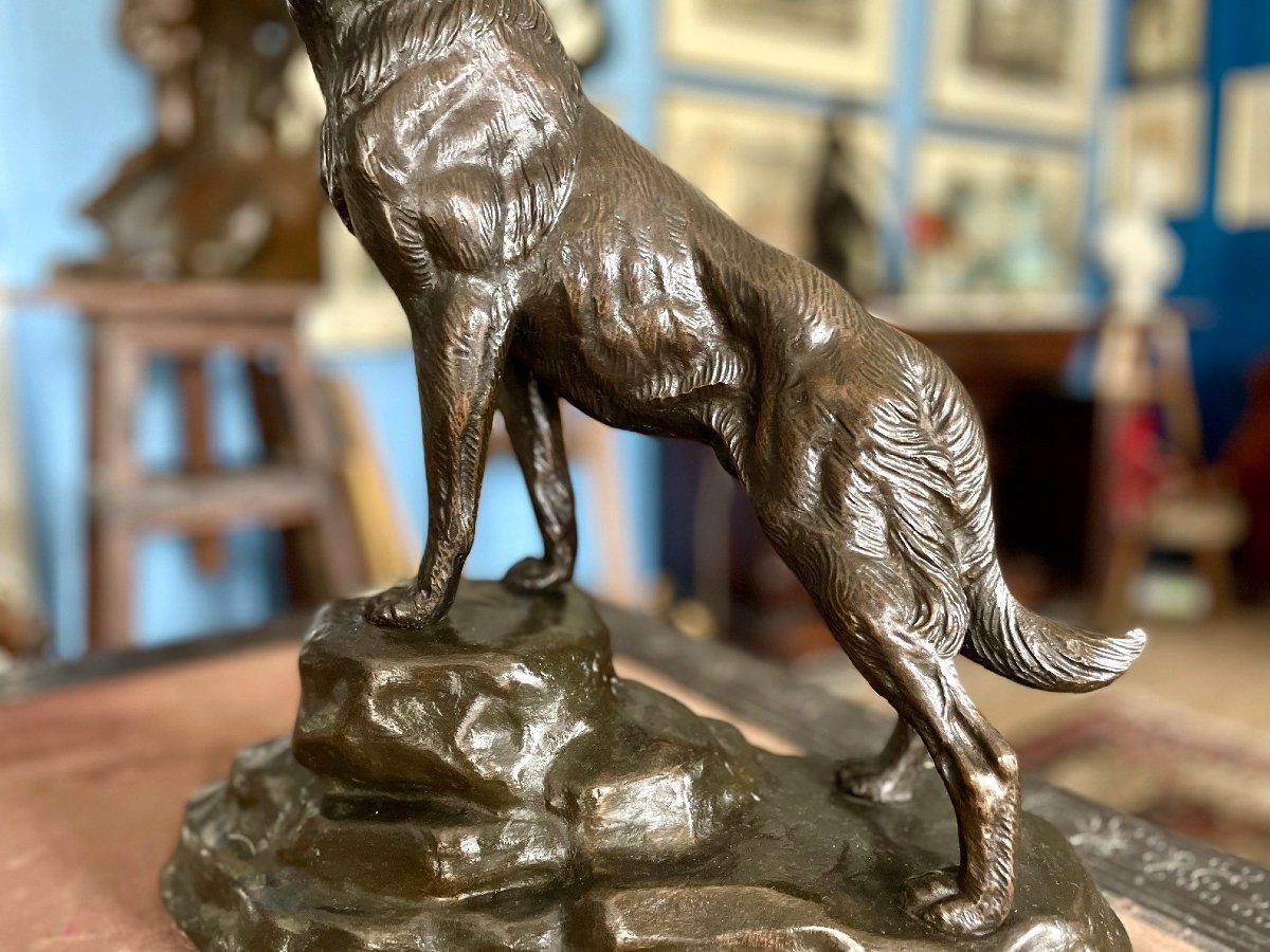Bronze Wolf Dog, Old Cast-photo-3