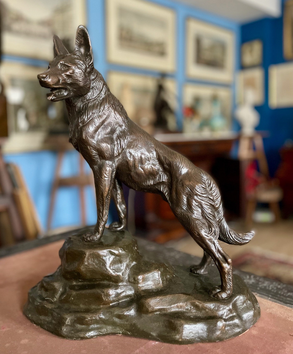 Bronze Wolf Dog, Old Cast