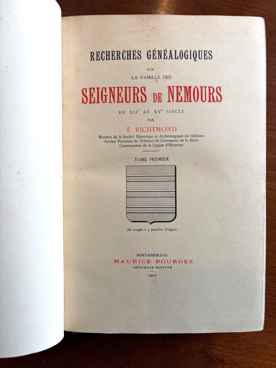 Seigneurs de Nemours, genealogie de Richemond-photo-4