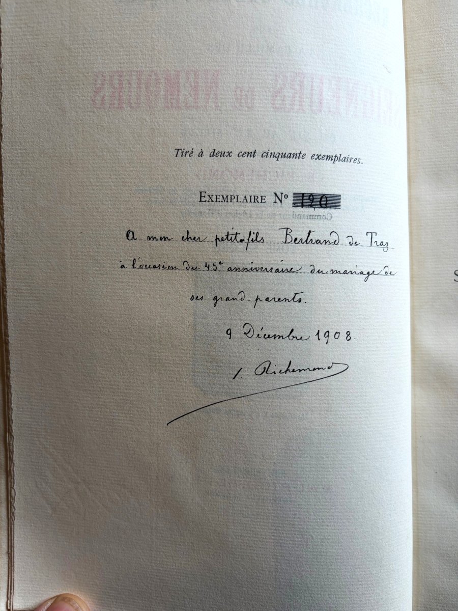 Seigneurs de Nemours, genealogie de Richemond-photo-4