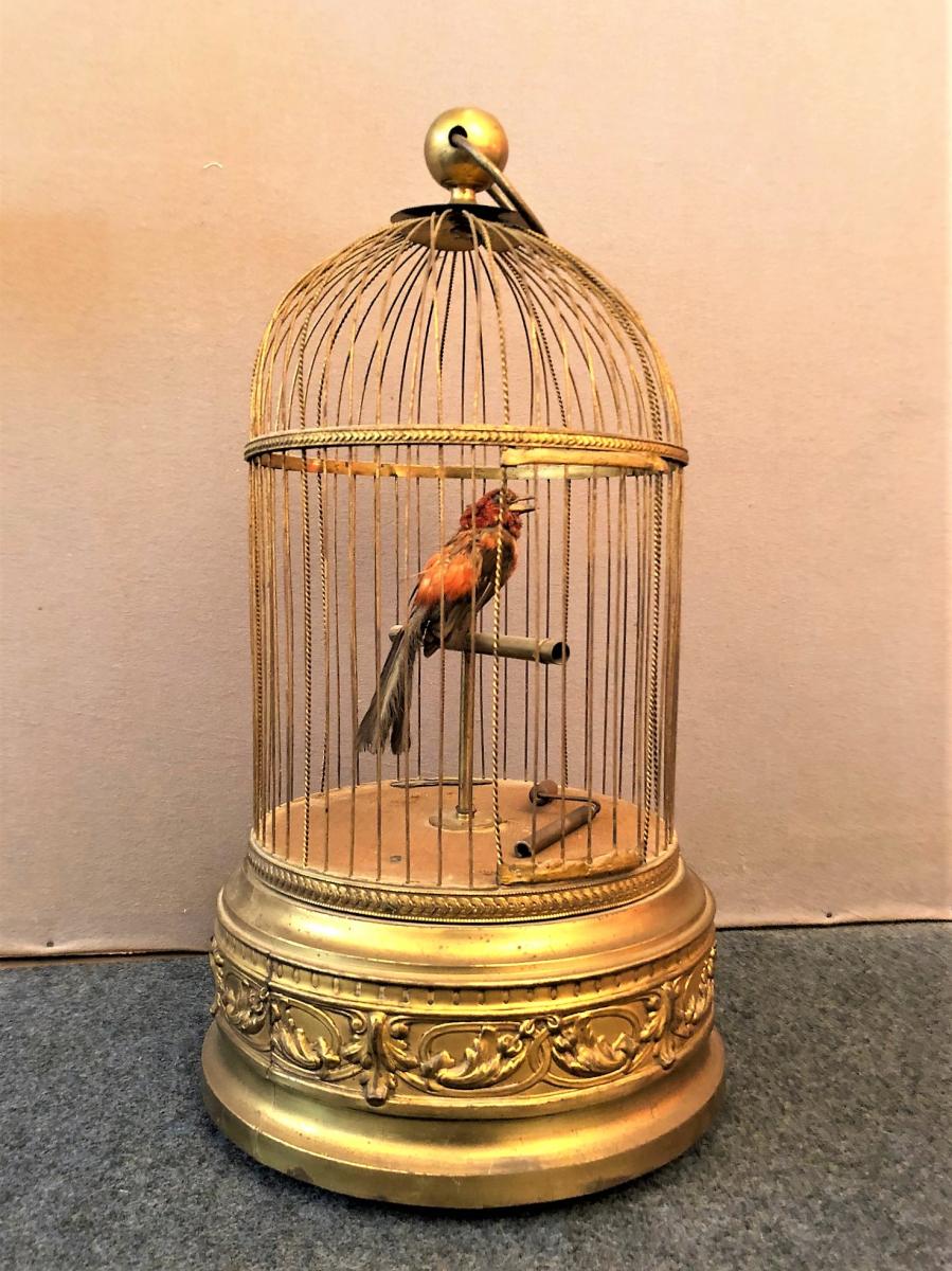 Large Bird Cage Singer