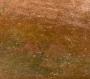 1215988-6538e4900ad92.jpg