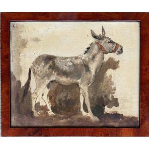 Donkey Study, Oil On Canvas Signed On The Back