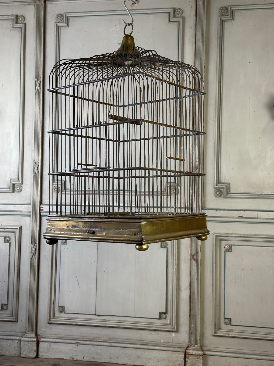 Large Brass Cage Circa 1880-photo-1