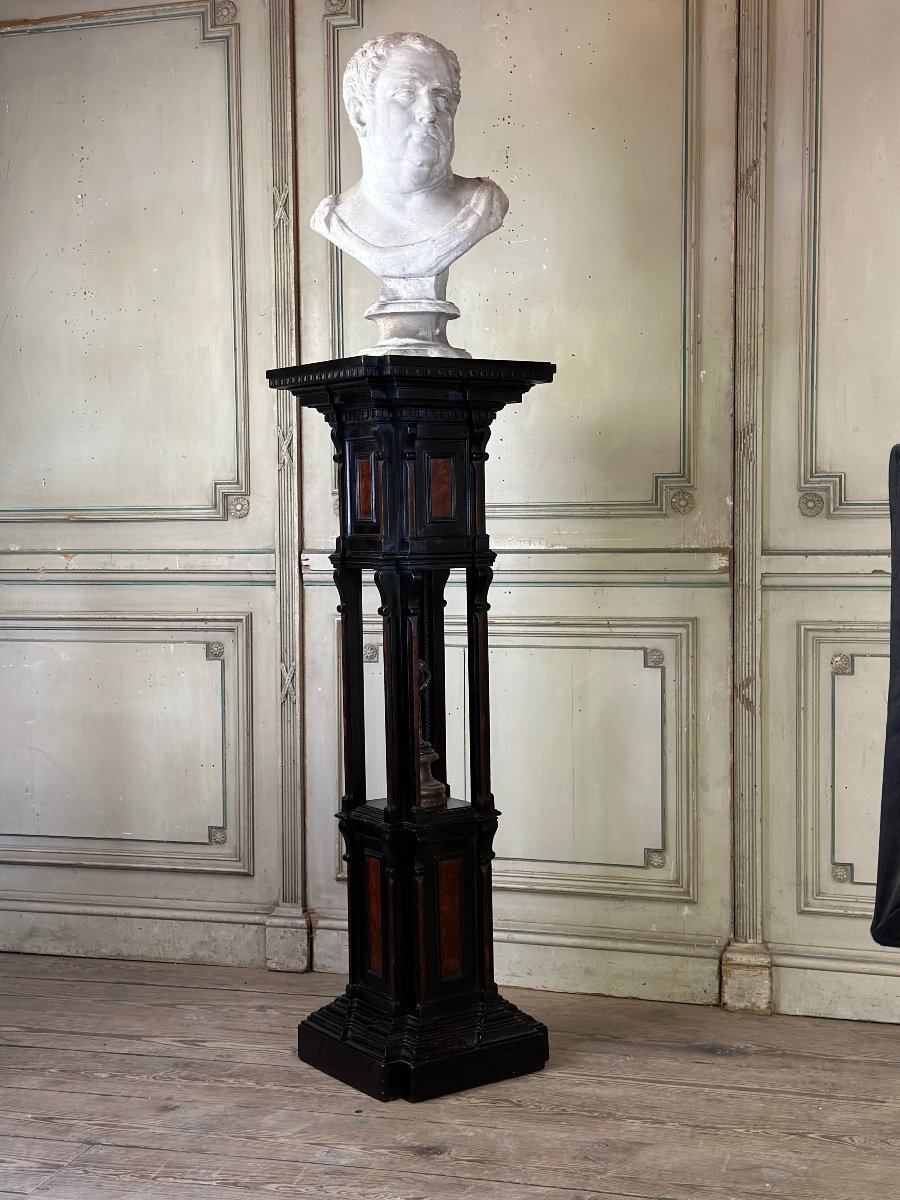 Column In Blackened Wood And Burl Veneer, Superb Assembly Of Moldings Circa 1880-photo-6