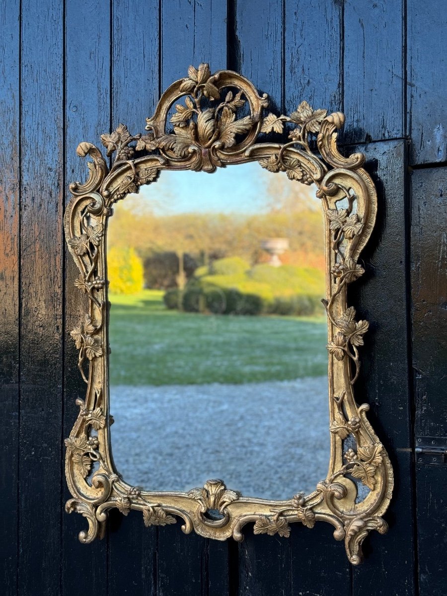 Miroir Louis XV En Bois Sculpté Et Doré à Parecloses, XVIIIème Siècle -photo-4