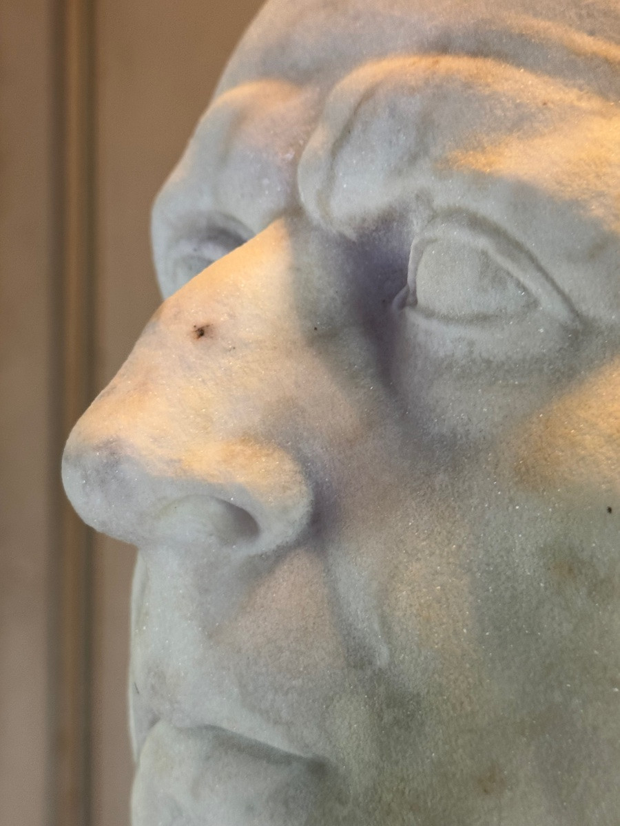 Bust Of Emperor Galba, White Carrara Marble, 18th Century -photo-7