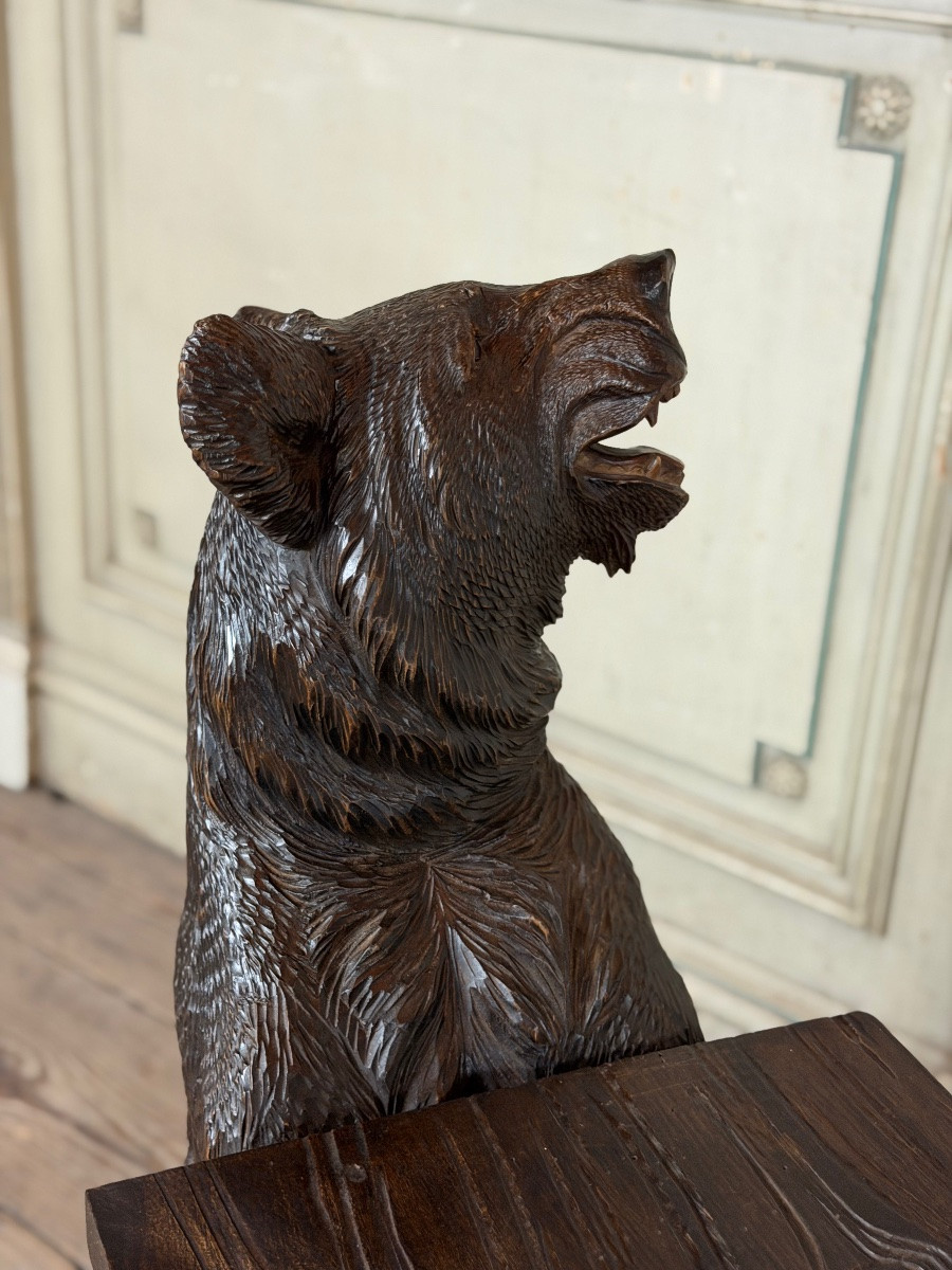 Deux ours de Berne ou Brienz dit ours Forêt Noire formant un banc, XIXème siècle -photo-3