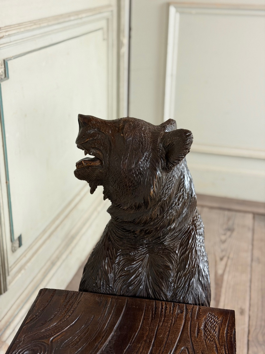 Deux ours de Berne ou Brienz dit ours Forêt Noire formant un banc, XIXème siècle -photo-4