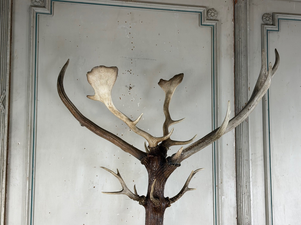 Portemanteau Forêt-Noire en bois sculpté, vers 1900-photo-5