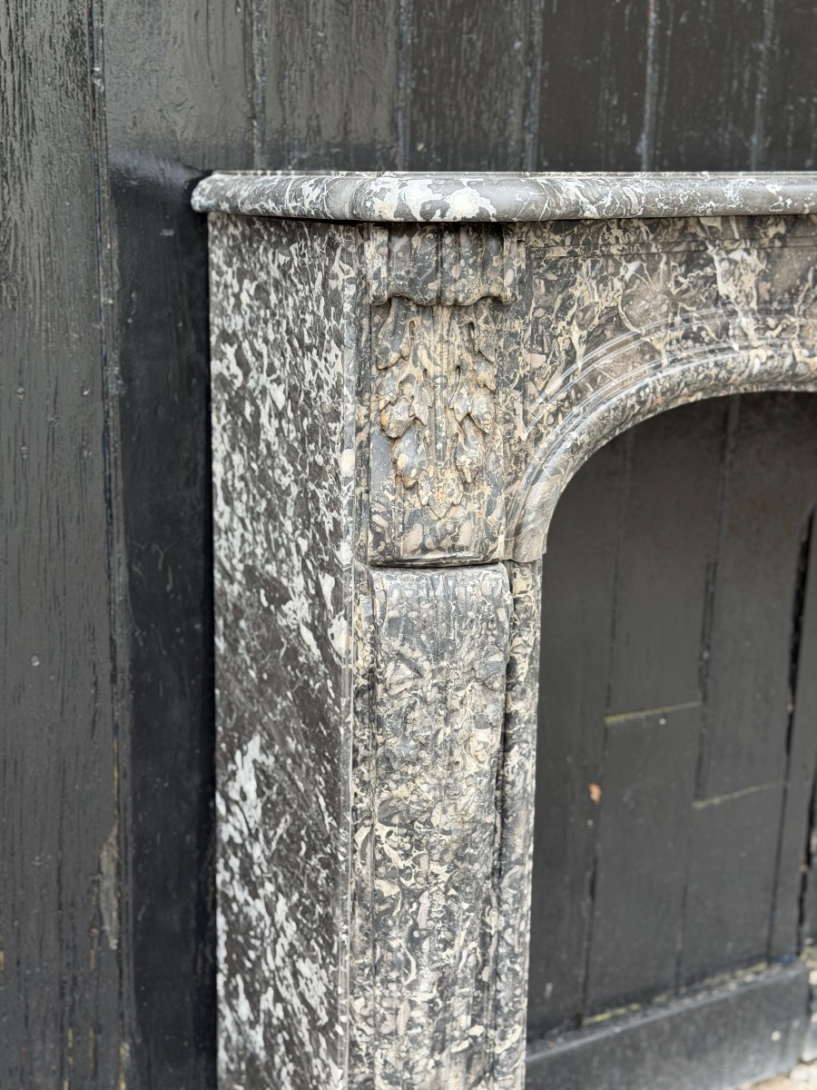 Cheminée Louis XV en marbre gris Saint-Anne, XVIIIème siècle-photo-7