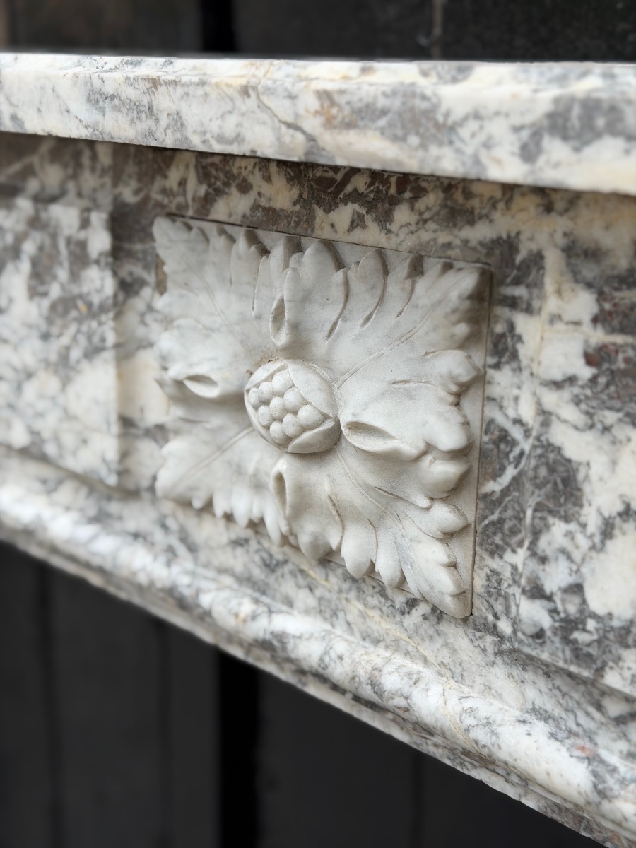 Louis XVI Fireplace Made Of Gray Ardennes Marble, Late 18th Century-photo-3