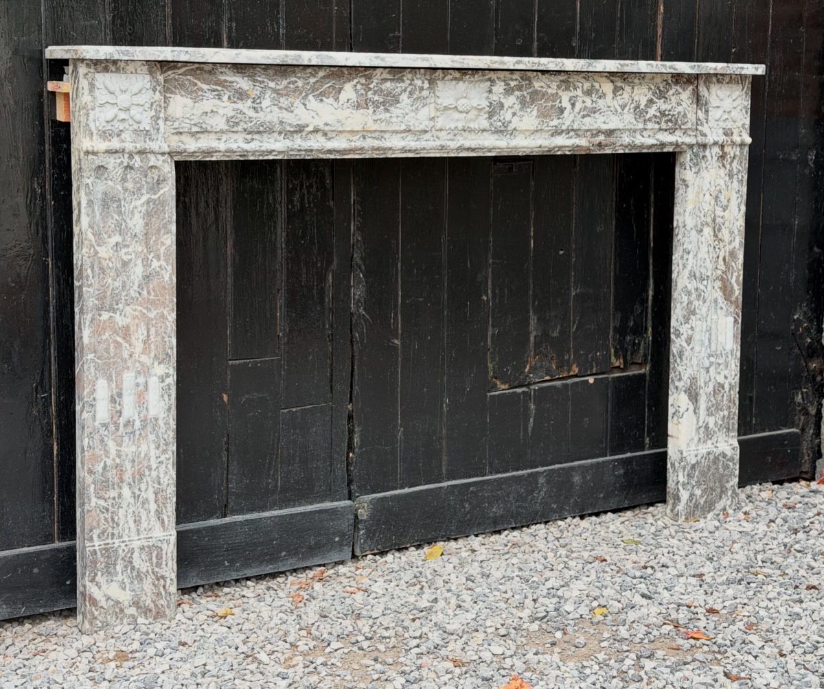 Louis XVI Fireplace Made Of Gray Ardennes Marble, Late 18th Century-photo-4